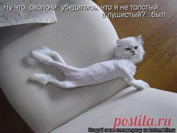 Мой Мир@Mail.Ru