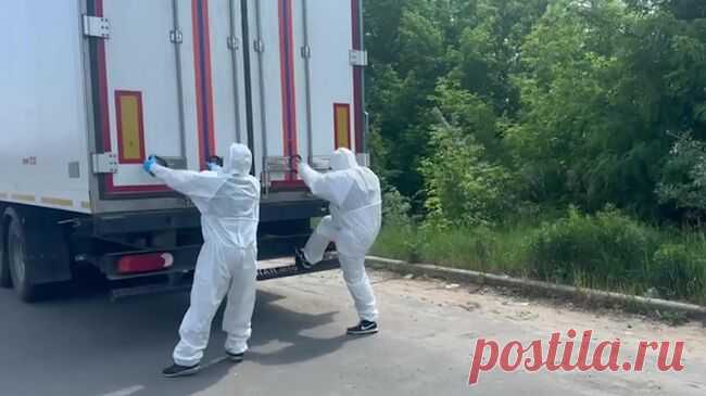 Эксперт оценил поведение Киева в отношении передачи тел погибших