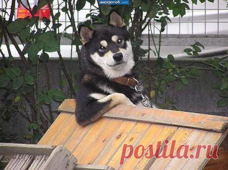 Интересные новости