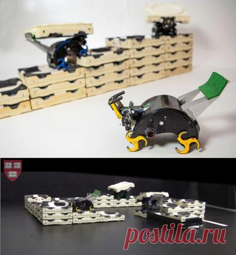 Роботы-термиты продемонстрируют новый подход к строительству / Новости hardware / 3DNews - Daily Digital Digest /  Эти устройства в совокупности способны создавать сложные многоуровневые конструкции вроде пирамид, замков, башен. Система построена таким образом, что маленькие роботы даже могут создавать себе временные лестницы из строительных блоков, что позволяет им подниматься вверх по конструкции.