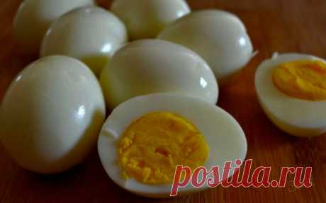 Диета «Яйца». Снижает вес до минус 15 кг. и убирает жировую прослойку в области живота | Статная фигура | Яндекс Дзен