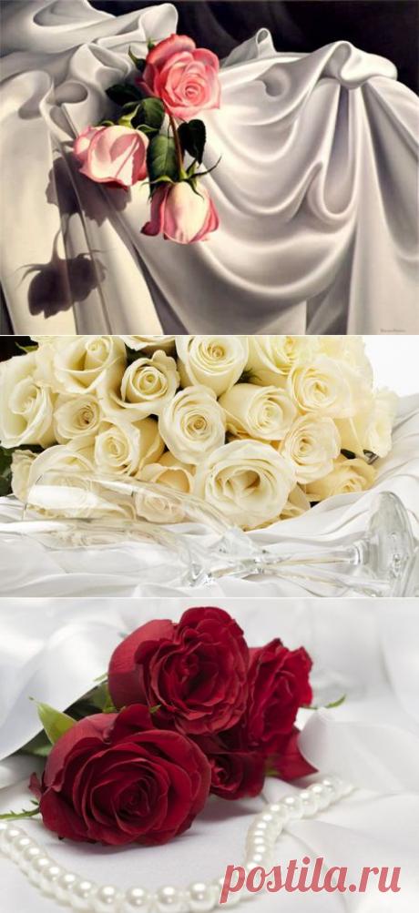 Натюрморт Цветы на белом шелке