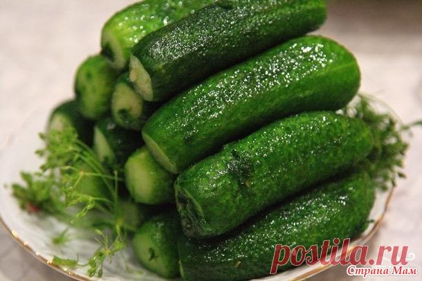 Малосольные огурчики с чесноком