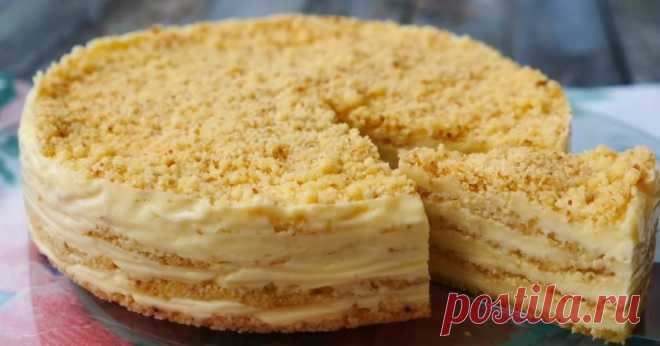 Инструкция по приготовлению изумительно вкусного торта «Пломбир» на сковороде Приготовление торта — это не всегда трудоемкий процесс, который способен украсть полдня. Сейчас нам доступно огромное количество простых рецептов. Они позволяют приготовить потрясающе вкусные торты без особых заморочек.