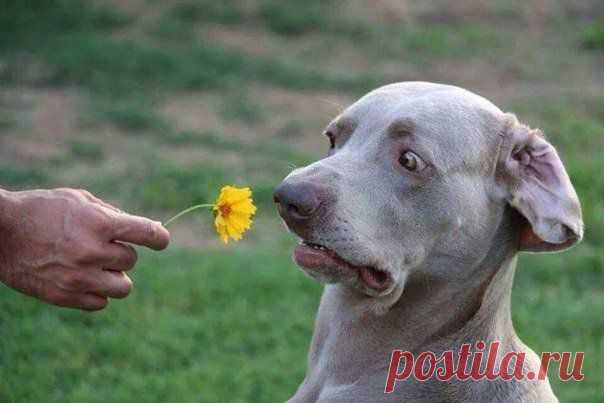 Это ещё что?!