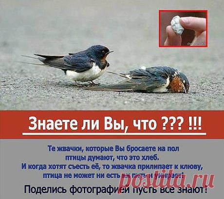 ЖИЗНЬ