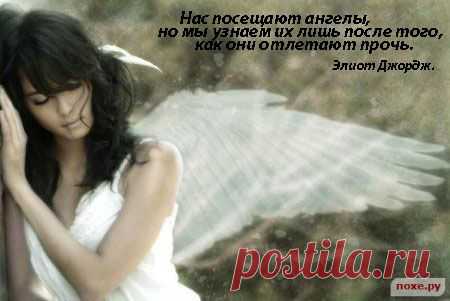 Красивые афоризмы