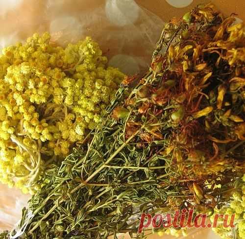 Для предупреждения ожирения и продолжения жизни