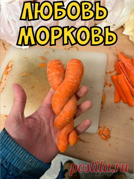 Любовь-морковь