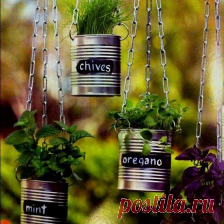 Жестяные банки: не выбрасывайте, они еще пригодятся! / Как сэкономить