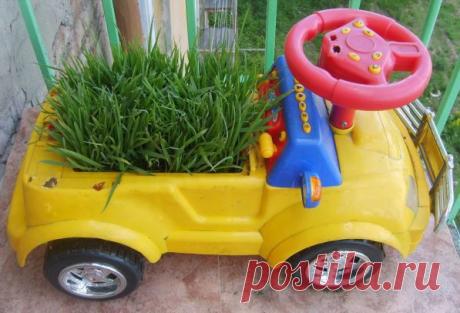 Трава на балконе — Талгар - городской портал