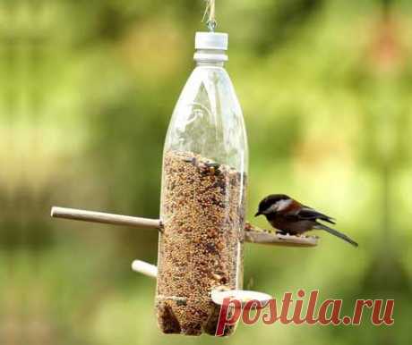 Новые идеи.