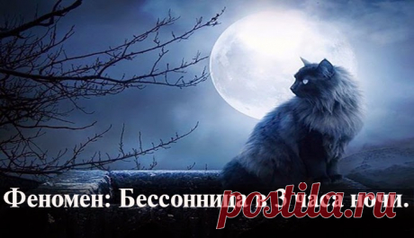 Если вы регулярно просыпаетесь в 3 часа ночи, это значит, что…