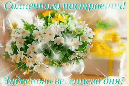 (10) Мой Мир@Mail.Ru