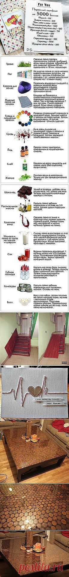 Лара Кузьмина: Глаза боятся, руки делают | Постила.ru