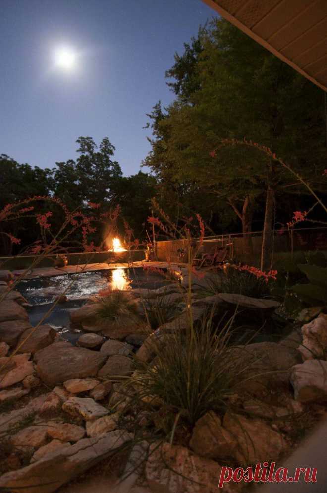 Пруд на заднем дворе дома своими руками - Своими руками