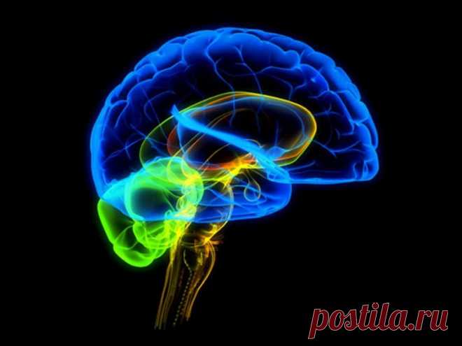 10 пагубных привычек, которые убивают твой мозг.