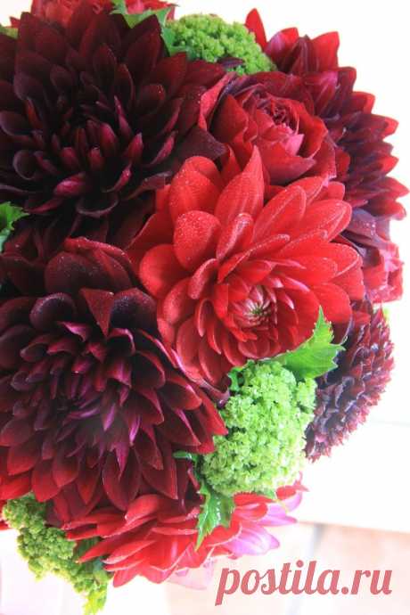 Pinterest | Георгины и Роза