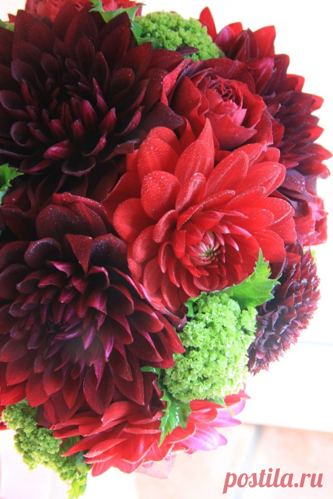 Pinterest | Георгины и Роза