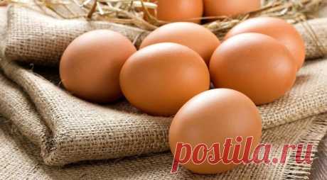 Как сварить яйца на Gastronom.ru