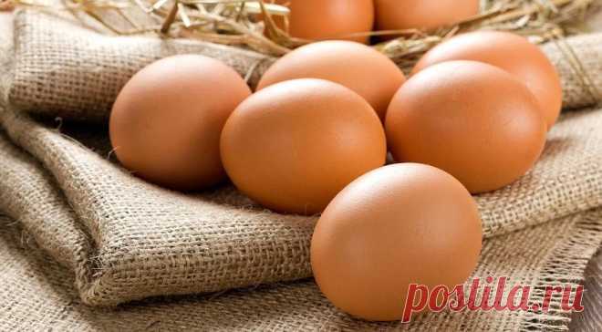 Как сварить яйца на Gastronom.ru
