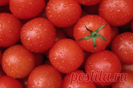 Как солить помидоры: 4 лучших рецепта в банках на зиму