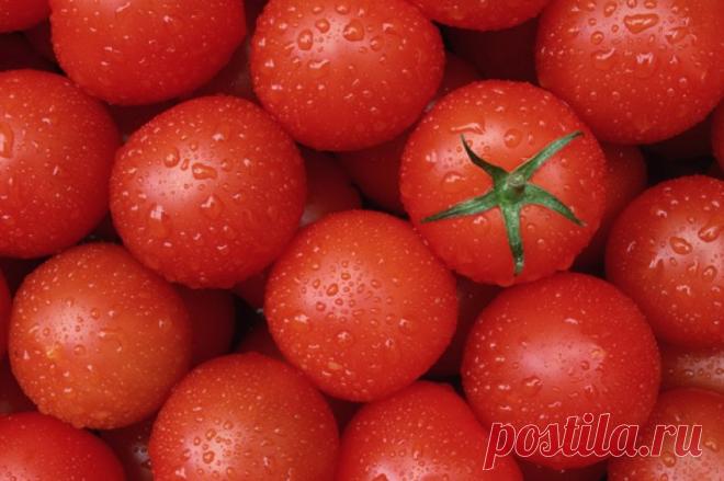 Как солить помидоры: 4 лучших рецепта в банках на зиму