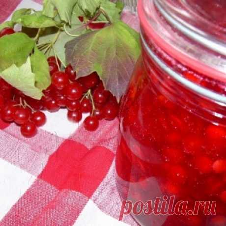 Калина — лечебные рецепты, пастила, варенье, желе - МирТесен