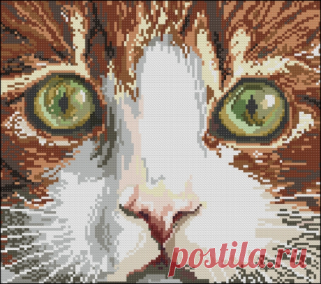 Сачать схему вышивки &quot;Котик&quot;