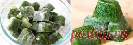 Тот самый укропный соус на зиму с чесноком, маслом и хитростями, запишите рецепт обязательно! Готовлю 5 лет – его всегда мало! | В саду у Валентинки | Яндекс Дзен