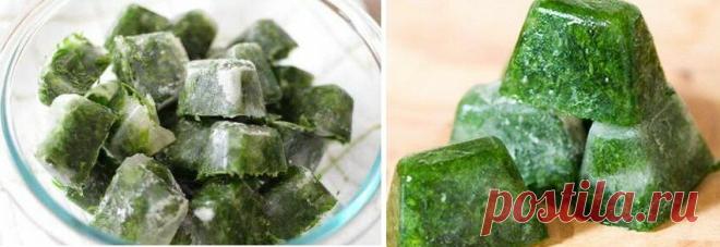 Тот самый укропный соус на зиму с чесноком, маслом и хитростями, запишите рецепт обязательно! Готовлю 5 лет – его всегда мало! | В саду у Валентинки | Яндекс Дзен