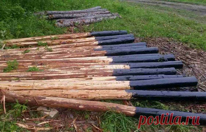 Совет, который поможет сделать деревянные столбы для забора почти вечными Столбы – основа любого забора. Без правильной установки и надлежащего качества опор надёжной ограды не получится, ведь именно на столбах (вот ведь неожиданность) держится вся остальная конструкция. И...
