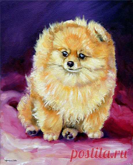 Little Dude - Pomeranian by Lyn Cook Little Dude - Pomeranian Painting by Lyn Cook