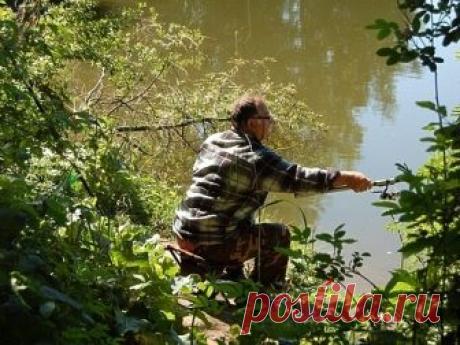 Поговорим о правильном поводке
Понятие поводок в классической интерпретации означает кусок более тонкой лески с крючком, который привязан к концу основной лески. У охотников за хищниками с помощью спиннинга, жерлиц или кружков по…