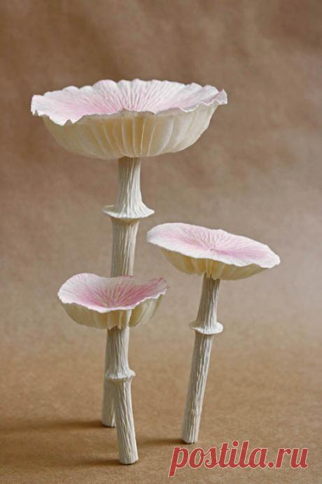 DIY Paper Mushroom Tutorial - Дизайн * Губка