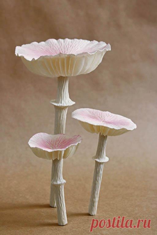 DIY Paper Mushroom Tutorial - Дизайн * Губка