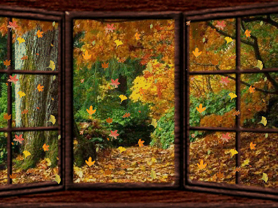 1c2d580c4ac14c3c87fd1ace869722f3.gif (550×413)