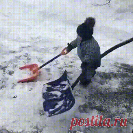 Главный помощник!:)