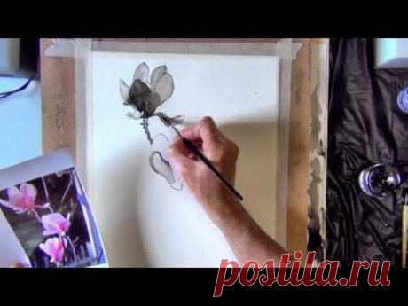 Magnolias Pen and Ink Speed demonstration by Joe Cartwright - YouTube