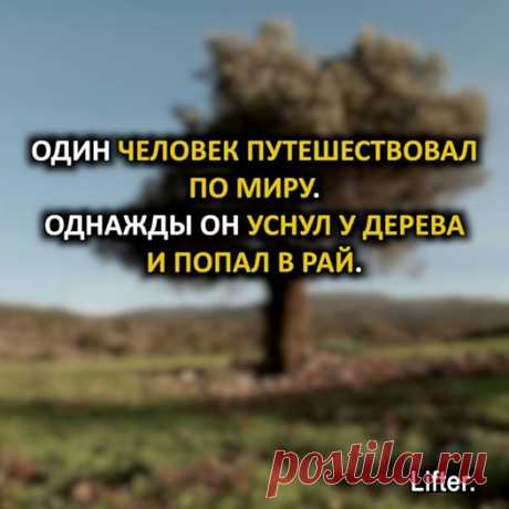 Светлана Мамеко