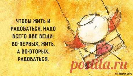 Одной фразой – Фитнес для мозга