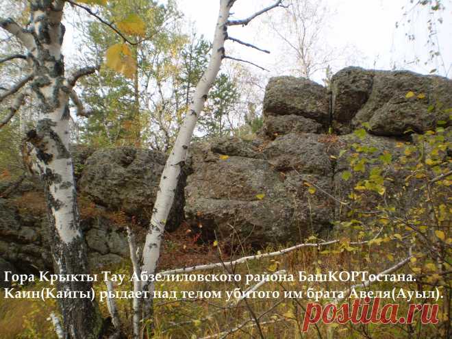 Продолжим, в качестве налога Яһве, Ҡаин стал отдавать плоды трудов своих на земле (Һауаҡ, ҺабаҠ/  ҺауанТУЙ, ҺабанТУЙ/ АрышТУЙ, АрисТЕЙ), которых, Яһва сразу стал отвергать, а Авель (Ауыл) – первенцев от стада своего, которых, Яһва сразу стал принимать. От отчаяния, Ҡаин (Кайғы; ПЕЧАЛЬ, ОТЧАЯНИЕ) решается убить своего брата.