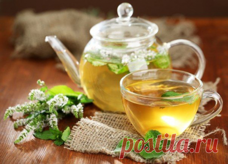 Простые рецепты успокаивающего чая.