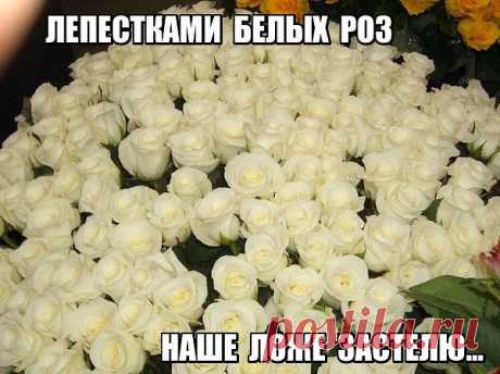 ТЫ просто БУДЬ!
Грехом .. Ошибкой .. Верностью ..
Смотри в глаза, читай меня всегда ..
ТЫ страстью будь и самой сильной нежностью,
ведь ТЫ - мой ПЛЕН и лучшая БЕДА ..
ТЫ просто будь! Терпением .. Прозрением ..
Будь светом, уходящим в полумрак!
И даже если вдруг, ТЫ станешь невезением ..
ТЫ только БУДЬ! Мне без тебя никак!