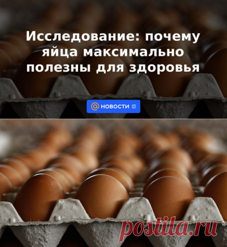МОЗГ, НЕРВЫ, ЗРЕНИЕ, СЕРДЦЕ-Исследование: почему яйца максимально ПОЛЕЗНЫ для здоровья | 11 апреля 2023 - Новости Mail.ru