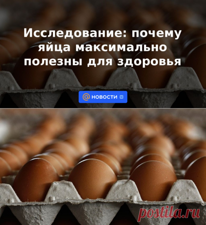 МОЗГ, НЕРВЫ, ЗРЕНИЕ, СЕРДЦЕ-Исследование: почему яйца максимально ПОЛЕЗНЫ для здоровья | 11 апреля 2023 - Новости Mail.ru