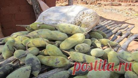 Полезные экзотические фрукты!