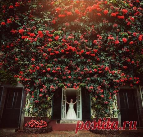 Лишь цветы живут по-настоящему. живут отсчитанные им дни так отчаянно цветя, будто понимают лучше людей быстротечность жизни...