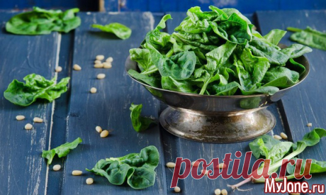 Шпинат для здоровья и похудения - шпинат, диеты, диета со шпинатом, полезные блюда, овощи