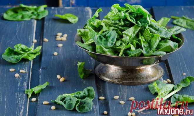 Шпинат для здоровья и похудения - шпинат, диеты, диета со шпинатом, полезные блюда, овощи